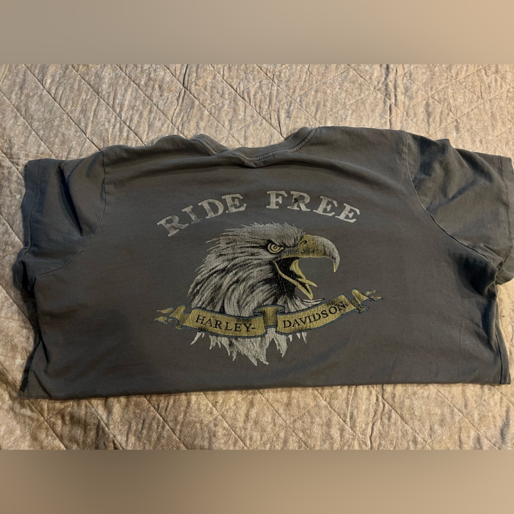 Harley-Davidson Gray Logo T-Shirt